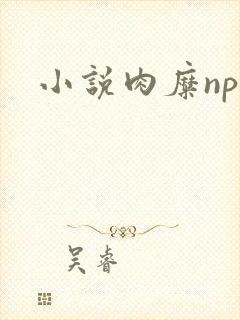 小说肉糜np
