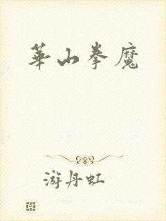 《华山拳魔》小说封面