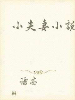 小夫妻小说