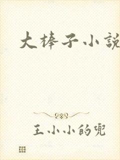 大棒子小说