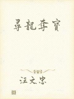 寻龙夺宝