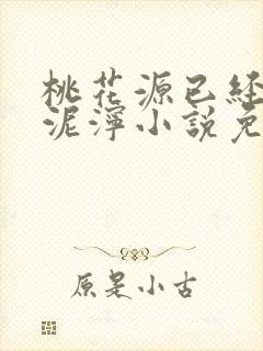 桃花源已经一片泥泞小说免费