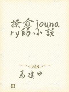 撩愈jounary的小说