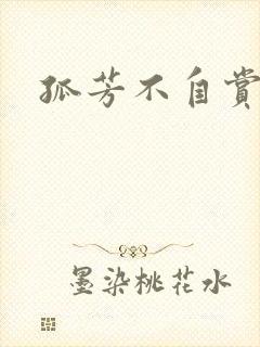 孤芳不自赏小说