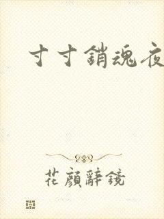 寸寸销魂夜春光