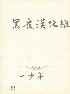 黑夜汉化组