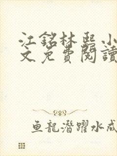 江铭林熙小说全文免费阅读封面