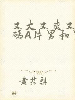 又大又爽又黄无码A片男和男