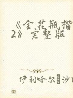 《金花瓶楷梅花2》完整版