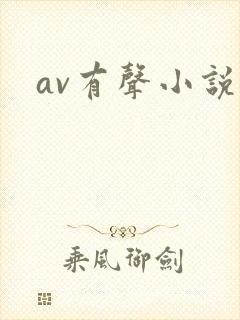 av有声小说