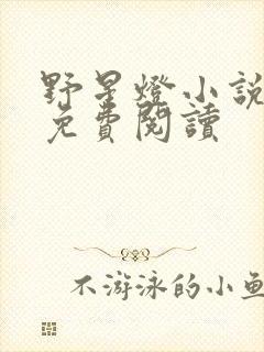 野星灯小说全文免费阅读