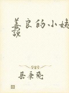善良的小姨子小说
