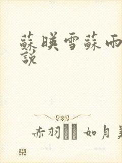 苏映雪苏雨柔小说