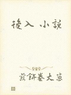 后入 小说