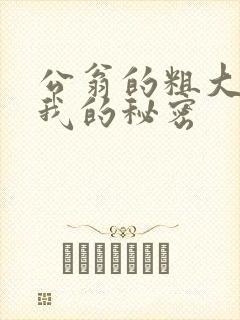 公翁的粗大放进我的秘密