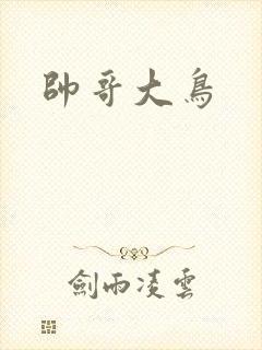 帅哥大鸟