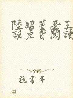 陆昭菱晋王的小说免费阅读