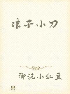 浪子小刀