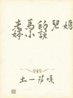 老马的儿媳顾婉婷小说