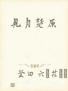 见月楚原