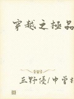 穿越之极品皇帝