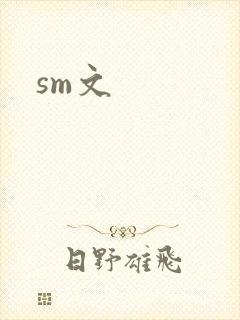 sm文