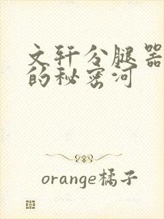 文轩分腿器河马的秘密河