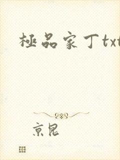 极品家丁txt