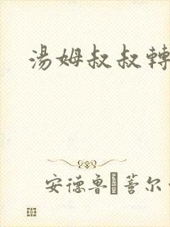 汤姆叔叔转接口