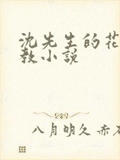 沈先生的花式调教小说