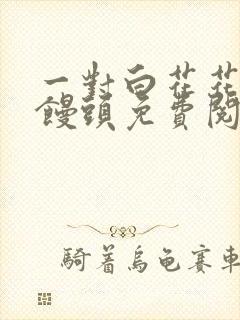 一对白花花的大馒头免费阅读