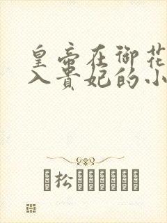 皇帝在御花园进入贵妃的小说