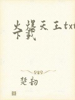 火爆天王txt下载