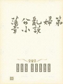 荡公乱妇第51章小说