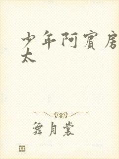 少年阿宾房东太太