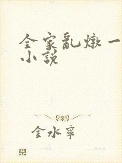 全家乱炖一锅烩小说