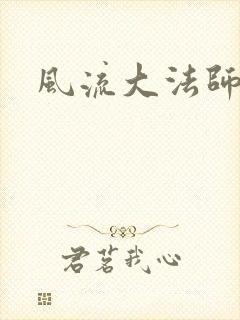 风流大法师封面