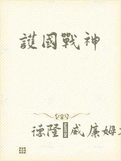 护国战神