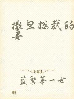 撒旦总裁的下堂妻