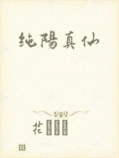 纯阳真仙