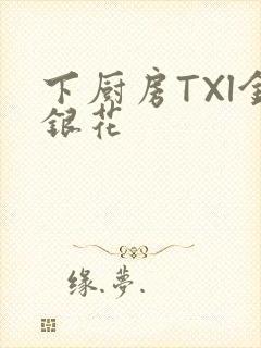 《下厨房TXl金银花》小说封面