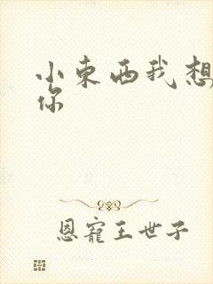 小东西我想弄坏你