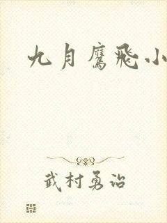 九月鹰飞小说
