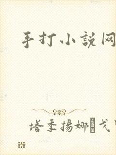 手打小说网