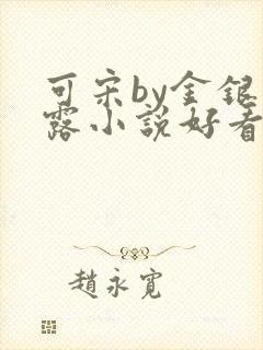 可宋by金银花露小说好看吗