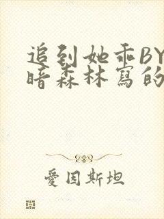 追到她乖BY黑暗森林写的小说