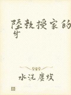 陆教授家的小月牙