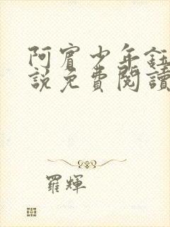 阿宾少年钰慧小说免费阅读笔趣阁