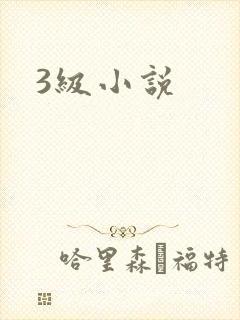 3级小说