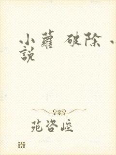 小萝 破除 小说